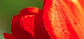 在线轰炸电话网页版免费测试