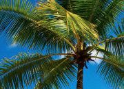 短信测试网站免费